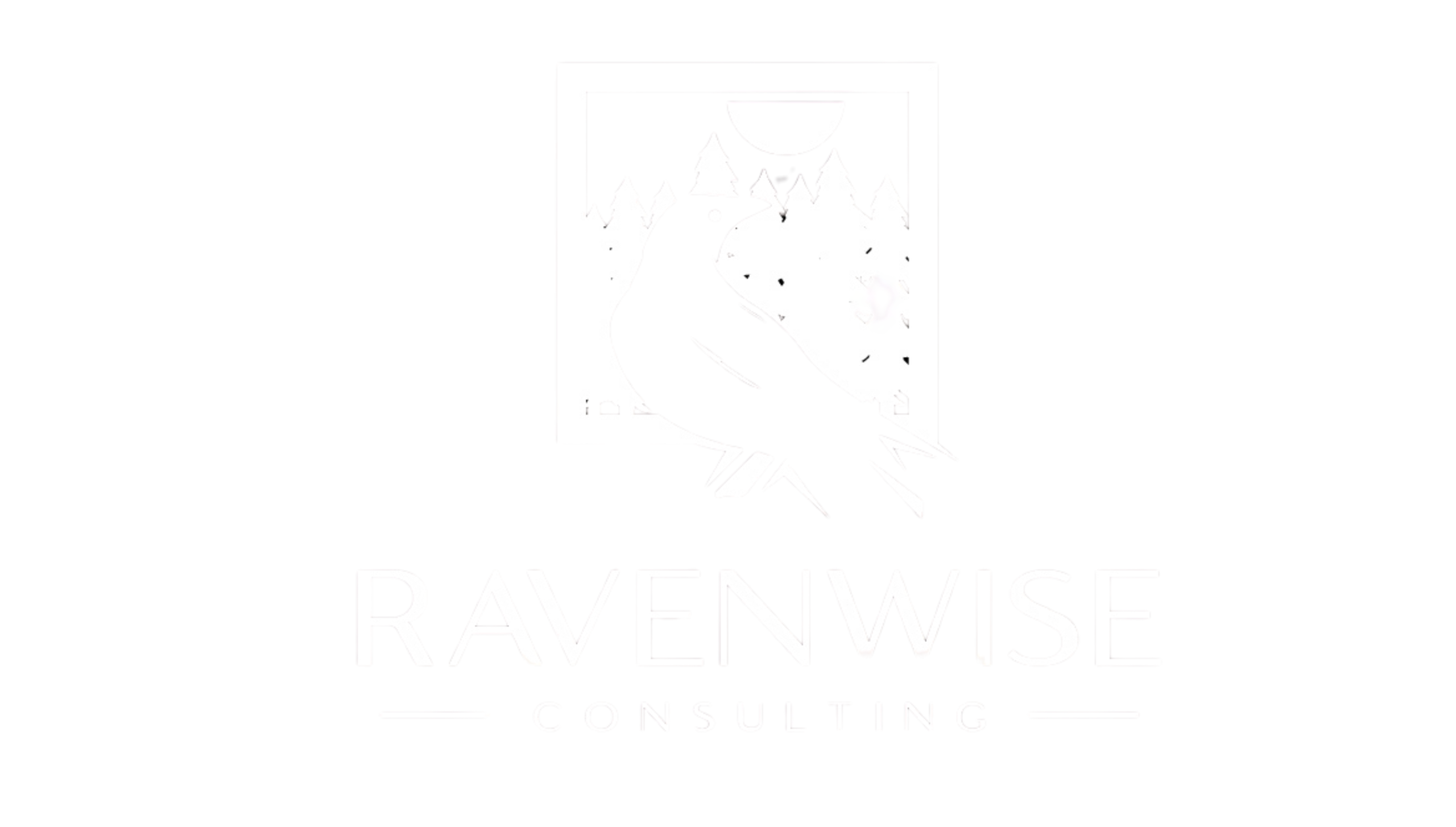 Ravenwise Consulting